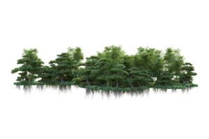 tropisch Wald isoliert auf transparent Hintergrund. 3d Rendern - - Illustration png