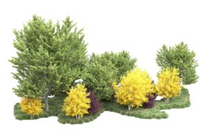 tropisch Wald isoliert auf transparent Hintergrund. 3d Rendern - - Illustration png