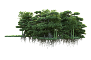 tropisch Wald isoliert auf transparent Hintergrund. 3d Rendern - - Illustration png