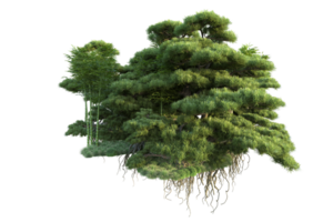 tropisch Wald isoliert auf transparent Hintergrund. 3d Rendern - - Illustration png