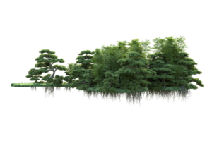 Tropical forest isolated on transparent background. 3d rendering - illustration png