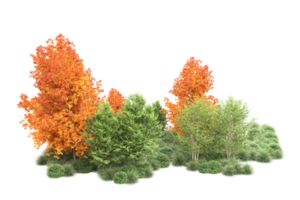 tropisch Wald isoliert auf transparent Hintergrund. 3d Rendern - - Illustration png