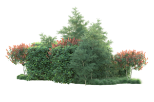 Tropical forest isolated on transparent background. 3d rendering - illustration png