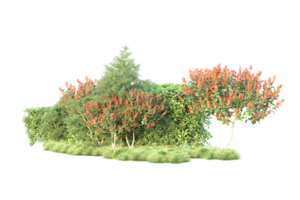 Tropical forest isolated on transparent background. 3d rendering - illustration png