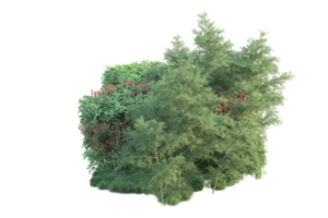 Tropical forest isolated on transparent background. 3d rendering - illustration png