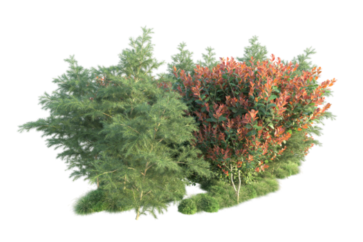 tropisk skog isolerat på transparent bakgrund. 3d tolkning - illustration png