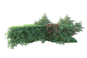 tropical forêt isolé sur transparent Contexte. 3d le rendu - illustration png