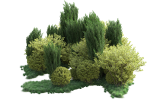 tropical forêt isolé sur transparent Contexte. 3d le rendu - illustration png