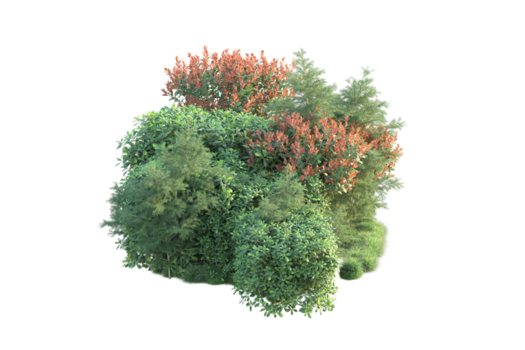 tropisk skog isolerat på transparent bakgrund. 3d tolkning - illustration png