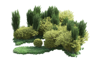 Tropical forest isolated on transparent background. 3d rendering - illustration png