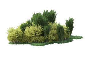 Tropical forest isolated on transparent background. 3d rendering - illustration png