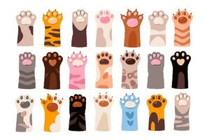 Cute cat paws set. Domestic pet foot isolated on white background. Collection of kitten legs. Flat vector illustration