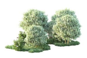 tropisch Wald isoliert auf transparent Hintergrund. 3d Rendern - - Illustration png