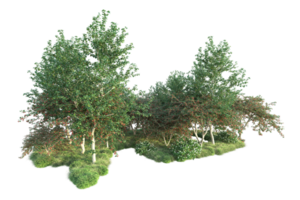 tropisch Wald isoliert auf transparent Hintergrund. 3d Rendern - - Illustration png