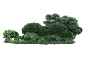 tropisch Wald isoliert auf transparent Hintergrund. 3d Rendern - - Illustration png