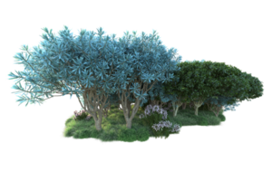 Tropical forest isolated on transparent background. 3d rendering - illustration png