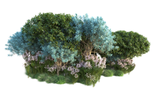 tropical forêt isolé sur transparent Contexte. 3d le rendu - illustration png