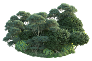 tropical floresta isolado em transparente fundo. 3d Renderização - ilustração png