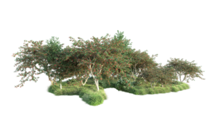 tropical forêt isolé sur transparent Contexte. 3d le rendu - illustration png