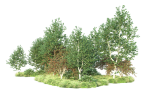 tropisch Wald isoliert auf transparent Hintergrund. 3d Rendern - - Illustration png