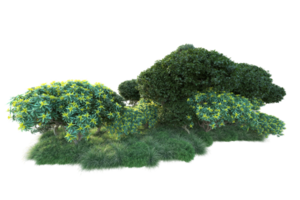 tropisch Wald isoliert auf transparent Hintergrund. 3d Rendern - - Illustration png