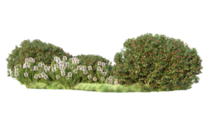 tropical forêt isolé sur transparent Contexte. 3d le rendu - illustration png