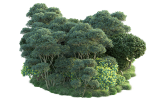 tropical floresta isolado em transparente fundo. 3d Renderização - ilustração png