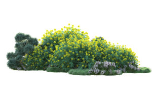 tropical floresta isolado em transparente fundo. 3d Renderização - ilustração png