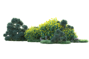 Tropical forest isolated on transparent background. 3d rendering - illustration png