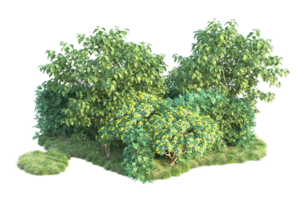 tropical forêt isolé sur transparent Contexte. 3d le rendu - illustration png