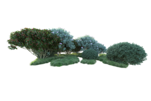 tropical forêt isolé sur transparent Contexte. 3d le rendu - illustration png