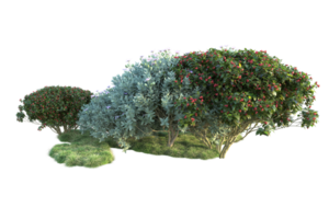 Tropical forest isolated on transparent background. 3d rendering - illustration png