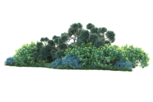 tropical floresta isolado em transparente fundo. 3d Renderização - ilustração png