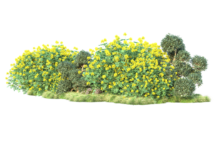 tropisch Wald isoliert auf transparent Hintergrund. 3d Rendern - - Illustration png