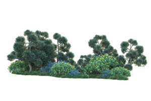 Tropical forest isolated on transparent background. 3d rendering - illustration png