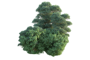 tropisch Wald isoliert auf transparent Hintergrund. 3d Rendern - - Illustration png