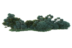 tropical forêt isolé sur transparent Contexte. 3d le rendu - illustration png