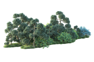 tropical floresta isolado em transparente fundo. 3d Renderização - ilustração png