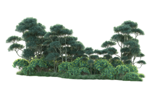tropisk skog isolerat på transparent bakgrund. 3d tolkning - illustration png