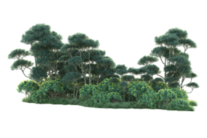 Tropical forest isolated on transparent background. 3d rendering - illustration png