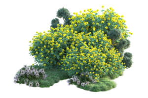 tropisch Wald isoliert auf transparent Hintergrund. 3d Rendern - - Illustration png