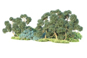 Tropical forest isolated on transparent background. 3d rendering - illustration png