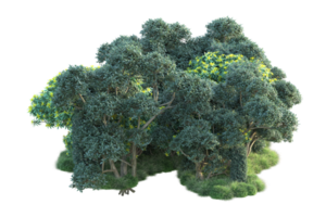 Tropical forest isolated on transparent background. 3d rendering - illustration png