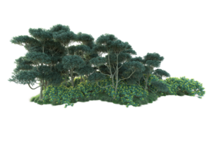 Tropical forest isolated on transparent background. 3d rendering - illustration png