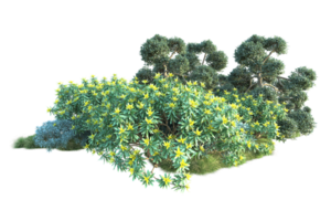 tropical floresta isolado em transparente fundo. 3d Renderização - ilustração png