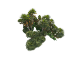 tropical floresta isolado em transparente fundo. 3d Renderização - ilustração png