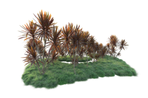 Tropical forest isolated on transparent background. 3d rendering - illustration png