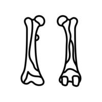 Femur icon in vector. Logotype vector