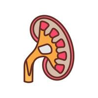 renal pelvis icono en vector. logotipo vector