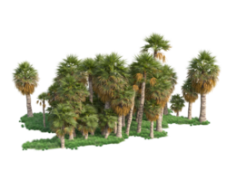 Tropical forest isolated on transparent background. 3d rendering - illustration png